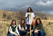 Zurich Seguros reforesta un área calcinada de la Sierra de la mano de Arena Media