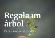 Los empleados de Dedalus España recorren más de 7.000 kilómetros para reforestar una reserva natural en Zaragoza