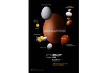 Barcelona Culinary Hub muestra todo lo que se esconde detrás de un huevo