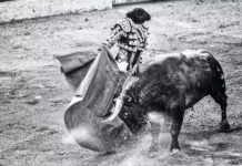 ¡Escándalo! Tribunal español ordena incluir tauromaquia en «bonos culturales» para jóvenes