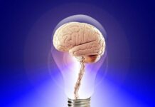 ¿Debe ser reconocida la propiedad intelectual de agencias y profesionales de la comunicación?