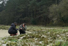 El documental de Le Cordon Bleu Madrid ‘EQUIBOCADOS’ seleccionado en el Festival de Cine de Málaga