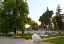 Generar una experiencia inmersiva para lanzar una nueva fragancia