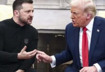 Análisis comunicativo del tenso encuentro Trump-Zelenski en la Casa Blanca