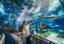 Acompañar los procesos de transformación con una estrategia basada en la experiencia