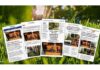 Sheridan, responsable del plan de branded content para el centenario de STIHL