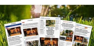 Sheridan, responsable del plan de branded content para el centenario de STIHL